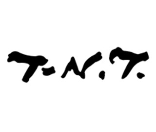 T-N.T._Studios_logo